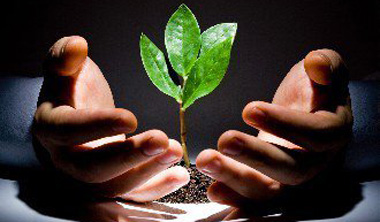 希銳科技被認(rèn)定為國(guó)家高新技術(shù)培育企業(yè)